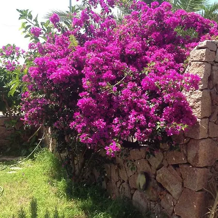 Stella Marina Valledoria (Sardinia)