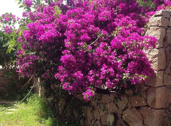 Stella Marina Valledoria (Sardinia)